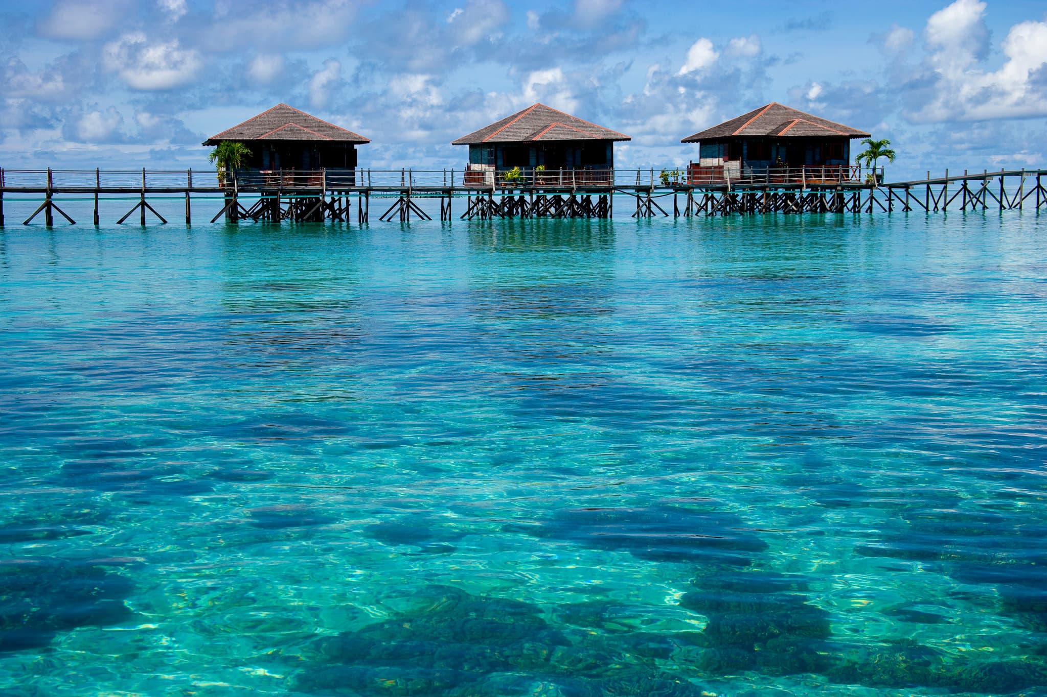 Inclusive Scuba Diving Holidays for Every Type of Ocean Explorer